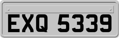 EXQ5339