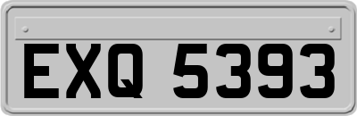 EXQ5393