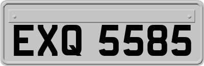 EXQ5585