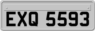EXQ5593