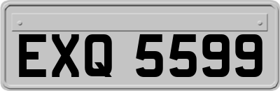 EXQ5599