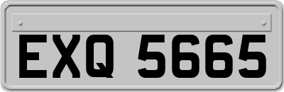 EXQ5665