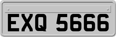 EXQ5666