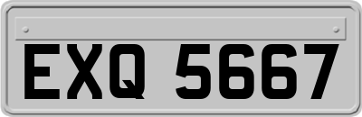 EXQ5667