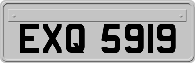 EXQ5919