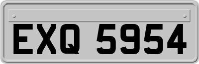 EXQ5954