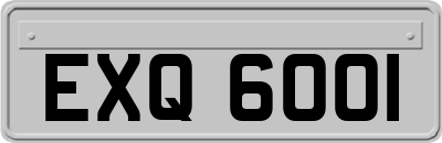 EXQ6001