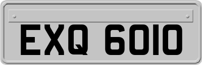 EXQ6010