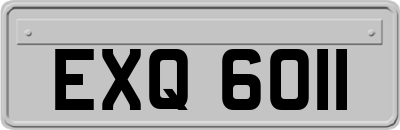 EXQ6011