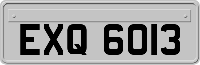 EXQ6013