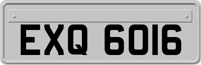 EXQ6016
