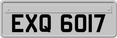 EXQ6017