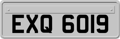 EXQ6019