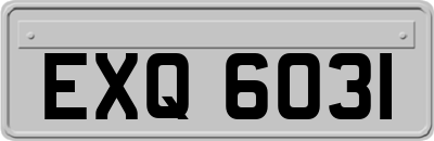 EXQ6031