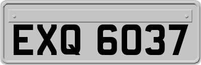 EXQ6037