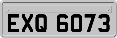 EXQ6073