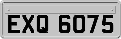 EXQ6075