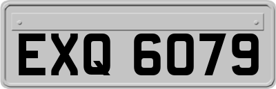 EXQ6079
