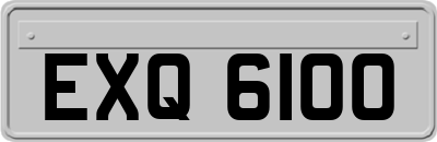 EXQ6100