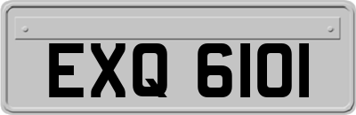 EXQ6101