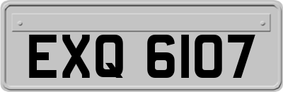 EXQ6107