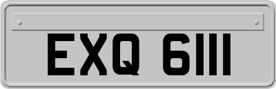 EXQ6111