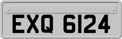 EXQ6124
