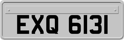EXQ6131