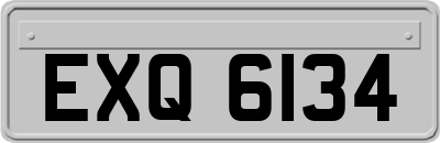EXQ6134