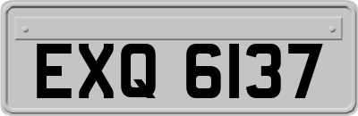EXQ6137