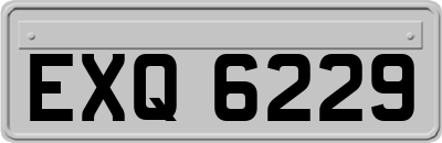 EXQ6229