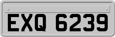 EXQ6239