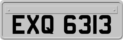 EXQ6313