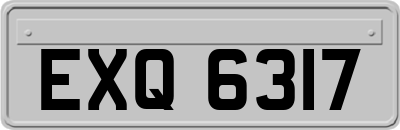 EXQ6317