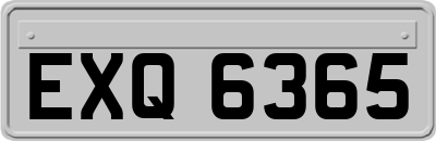 EXQ6365