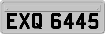 EXQ6445