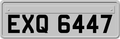 EXQ6447