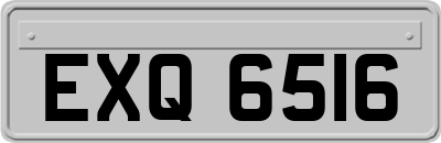 EXQ6516