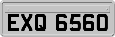 EXQ6560