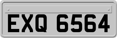 EXQ6564