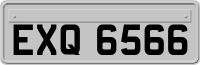EXQ6566
