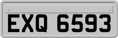 EXQ6593