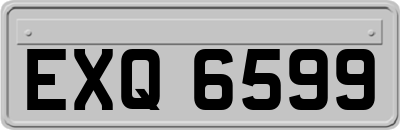 EXQ6599