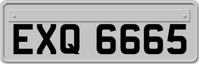 EXQ6665