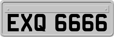 EXQ6666