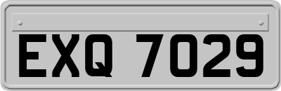 EXQ7029