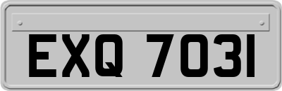 EXQ7031