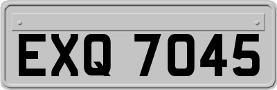 EXQ7045