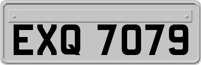 EXQ7079