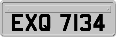 EXQ7134